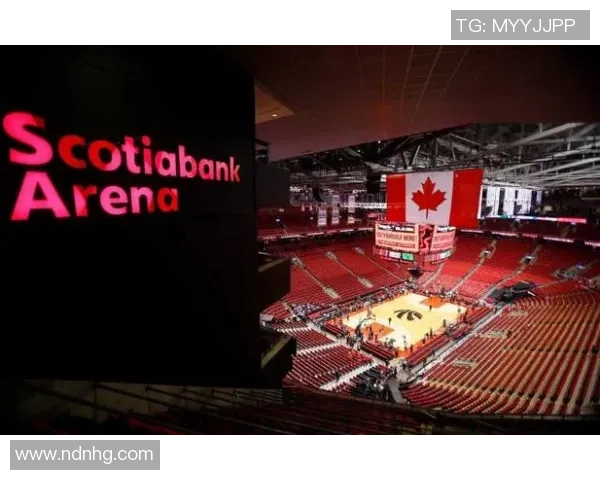 重庆排球队的蜕变之路精英赛特别报道展现新风貌与未来希望